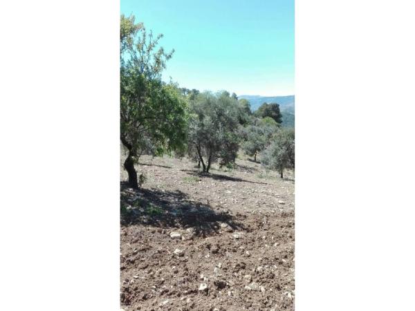 Terreno en Casarabonela