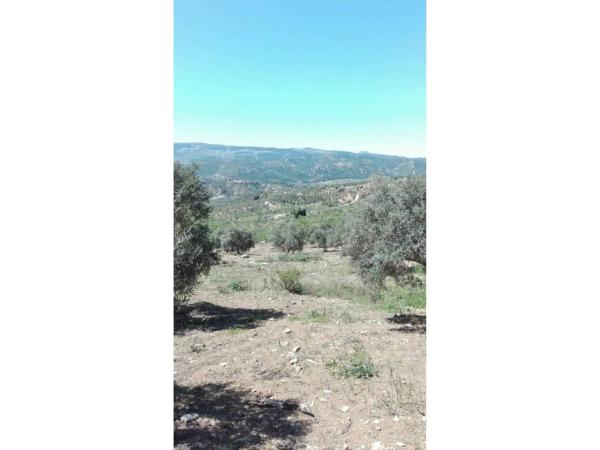 Terreno en Casarabonela