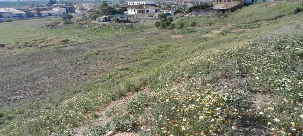 Terreno en Estación