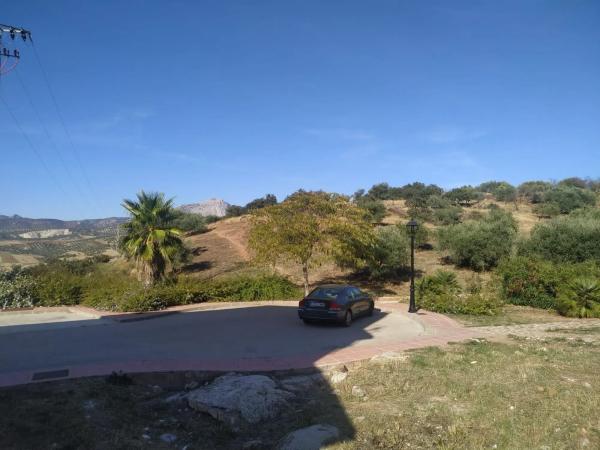 Terreno en calle de la Amargura