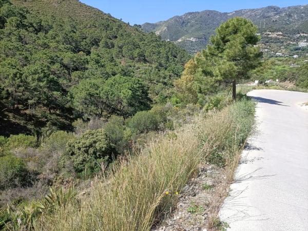 Terreno en Diseminado Diseminados, 113 b