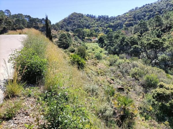 Terreno en Diseminado Diseminados, 113 b