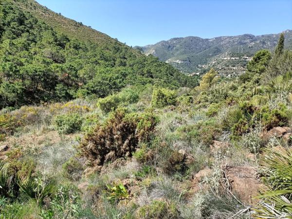 Terreno en Diseminado Diseminados, 113 b