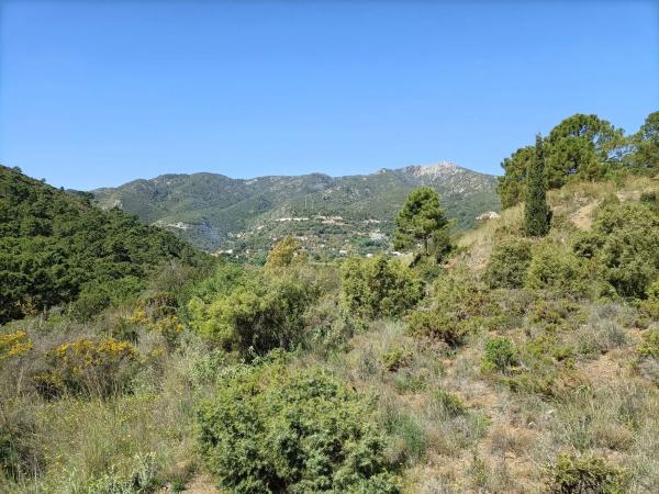 Terreno en Diseminado Diseminados, 113 b