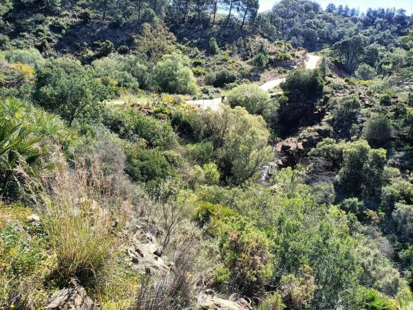 Terreno en Diseminado Diseminados, 113 b