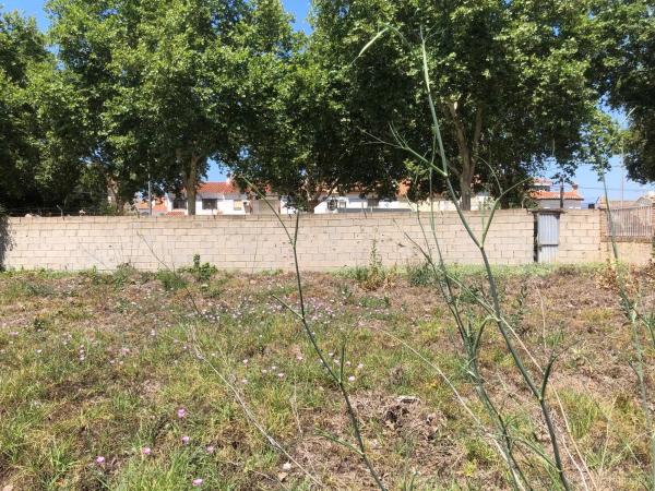 Terreno en avenida Villa de Madrid, 11