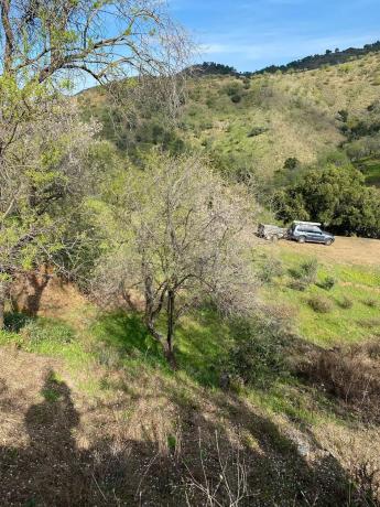 Terreno en carretera de Cerro Gordo, 156