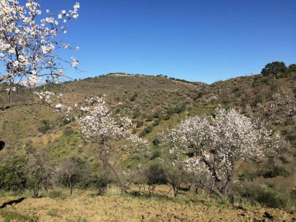 Terreno en carretera de Cerro Gordo, 156