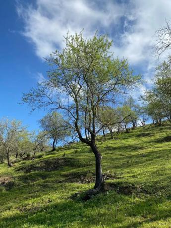 Terreno en carretera de Cerro Gordo, 156