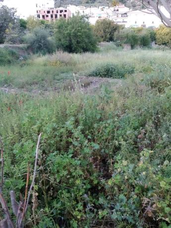 Terreno en paraje las Españuelas s/n