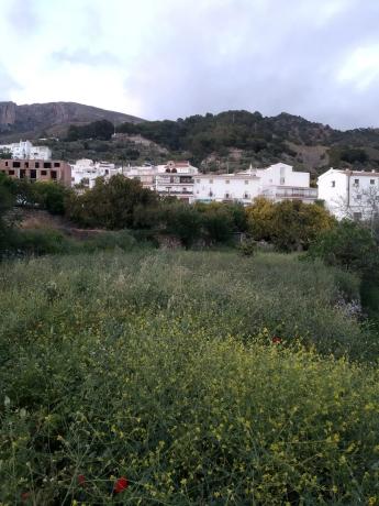 Terreno en paraje las Españuelas s/n