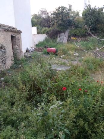 Terreno en paraje las Españuelas s/n