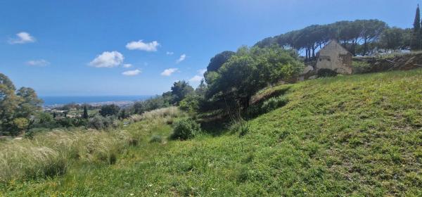 Terreno en via Sup S16 Alqueria