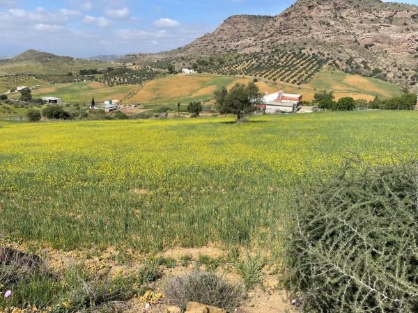 Terreno en Estación