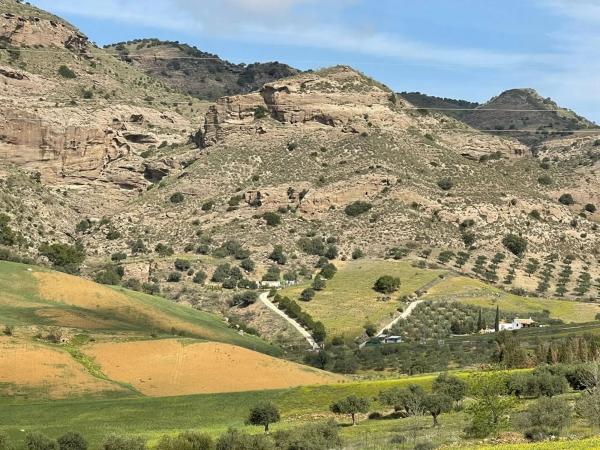 Terreno en Estación