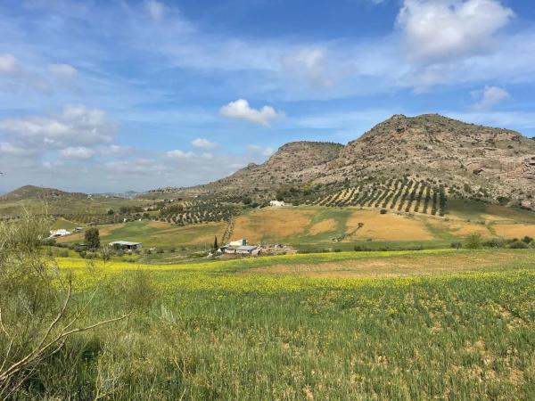 Terreno en Estación