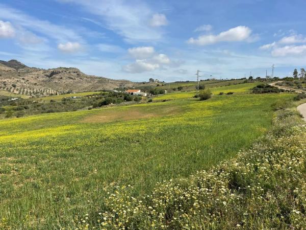 Terreno en Estación