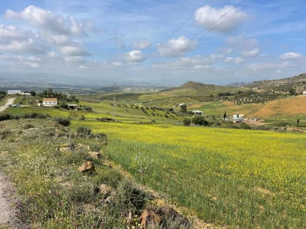 Terreno en Estación
