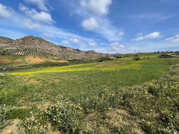Terreno en Estación