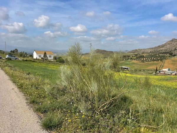Terreno en Estación