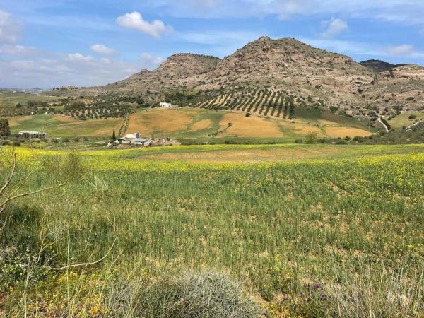 Terreno en Estación