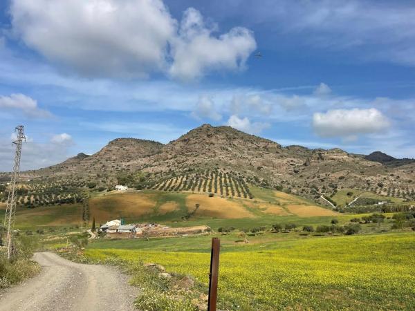Terreno en Estación