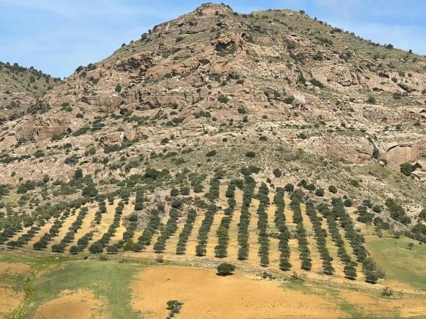 Terreno en Estación