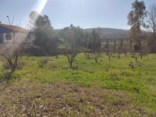 Terreno en Partidas norte