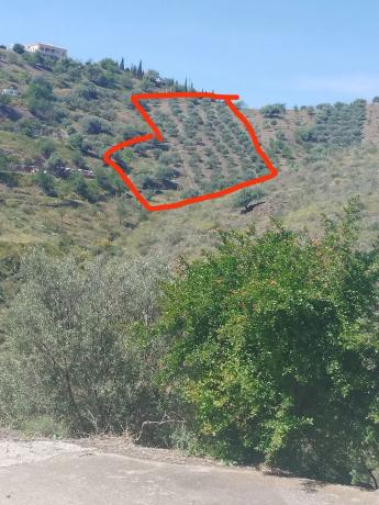 Terreno en Miracielo s/n