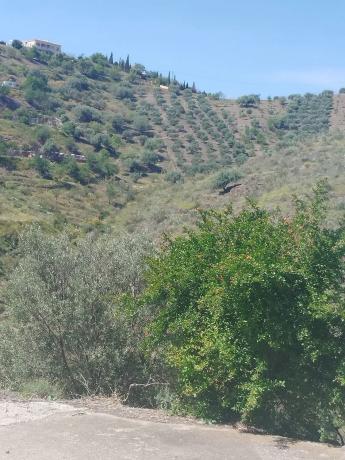 Terreno en Miracielo s/n