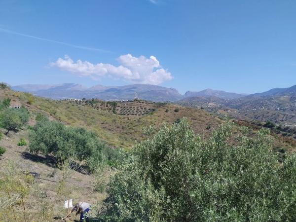 Terreno en Miracielo s/n