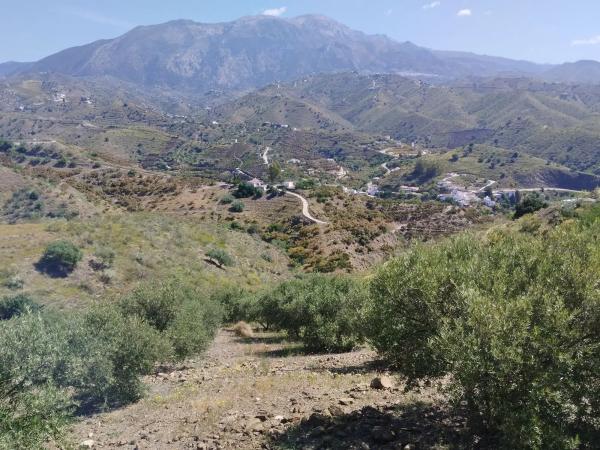 Terreno en Miracielo s/n