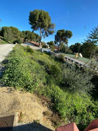 Terreno en calle Monte Alegre