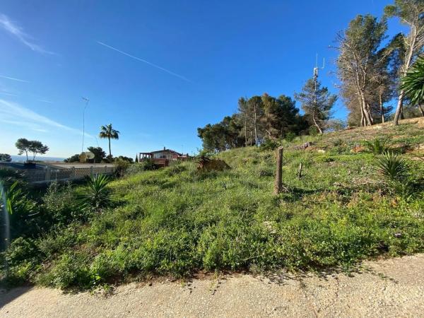 Terreno en calle Monte Alegre