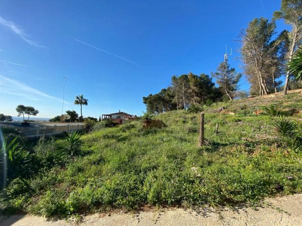 Terreno en calle Monte Alegre