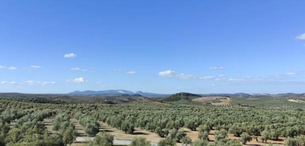Terreno en Casa Rural Los Lirios