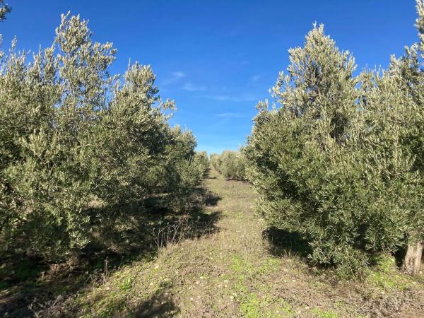 Terreno en Ma-7402, 2