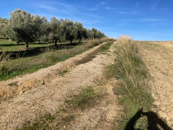 Terreno en Ma-7402, 2