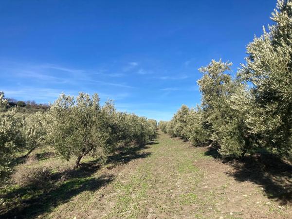 Terreno en Ma-7402, 2