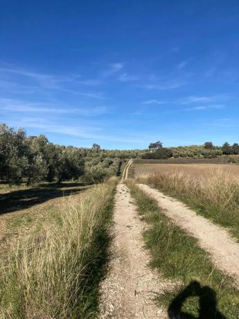 Terreno en Ma-7402, 2