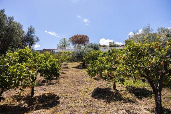 Terreno en Pinos de Alhaurín