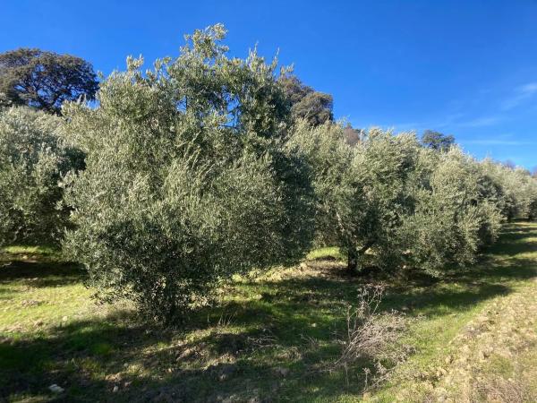 Terreno en Ma-7402, 2