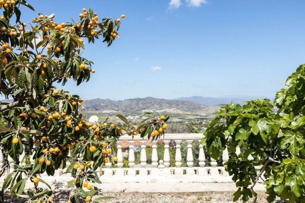 Terreno en Pinos de Alhaurín