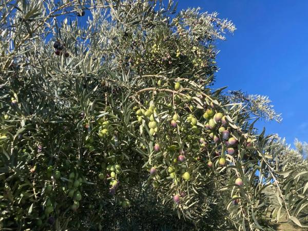 Terreno en Ma-7402, 2