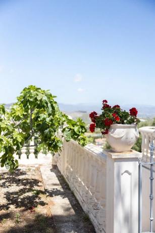 Terreno en Pinos de Alhaurín