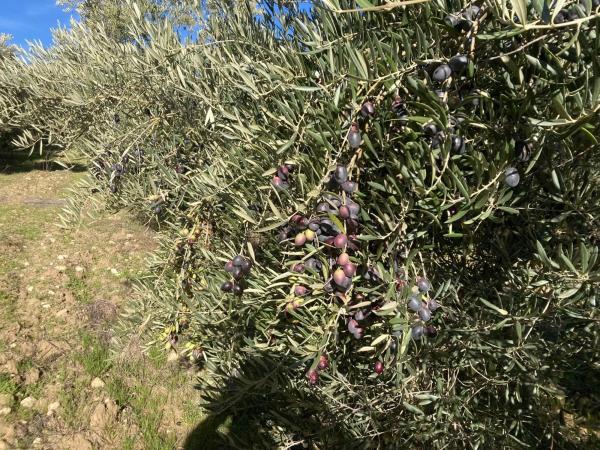 Terreno en Ma-7402, 2