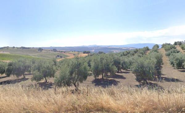 Terreno en Ma-7402, 2