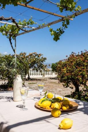 Terreno en Pinos de Alhaurín