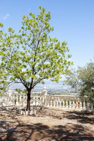 Terreno en Pinos de Alhaurín