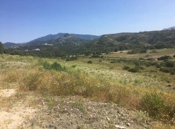 Terreno en Barrio La Concha-Resina Golf